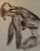 nude_gesture_14.jpg (89560 bytes)