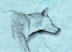 scarlett_drawing.jpg (77673 bytes)